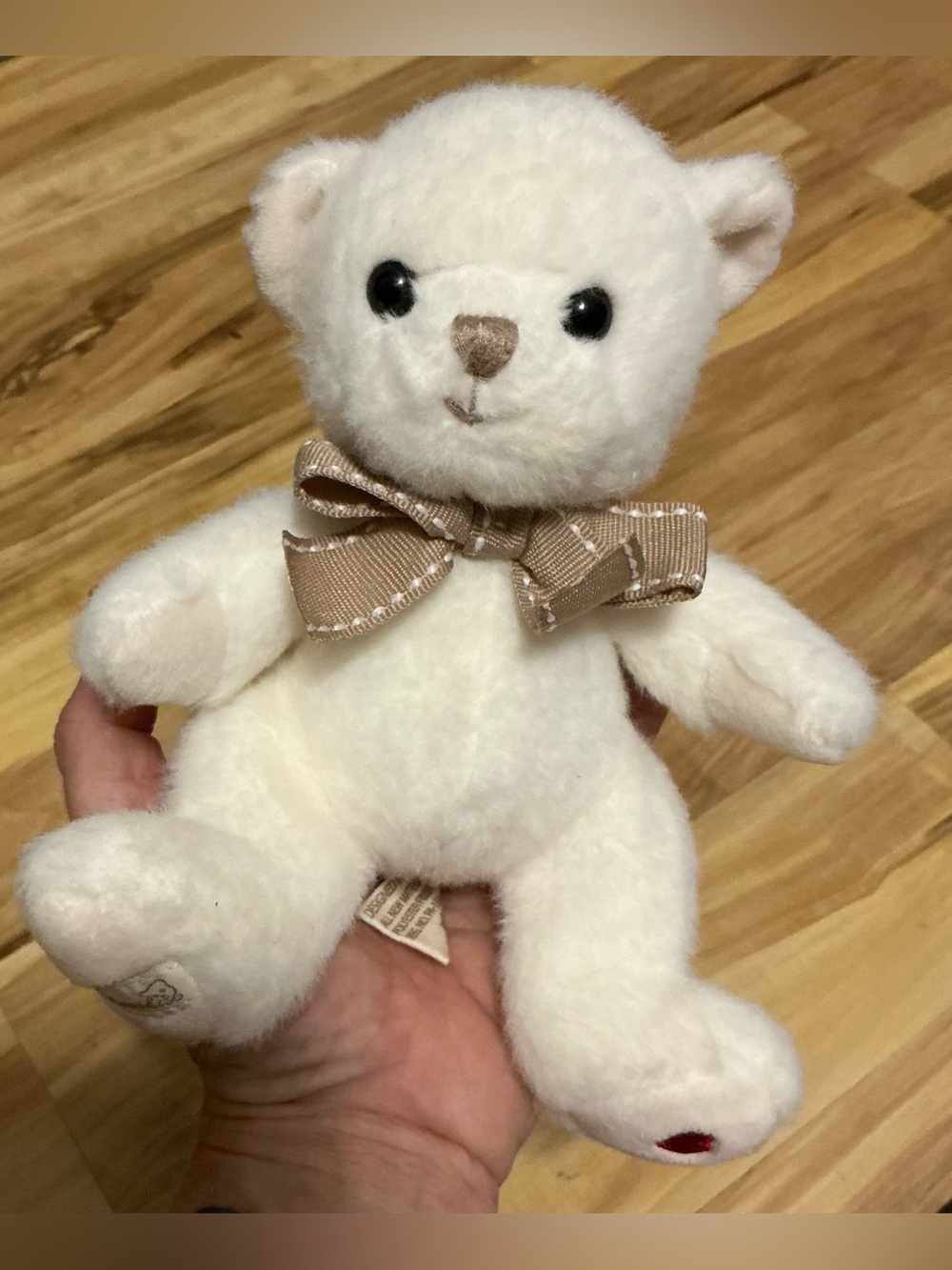 A Sweet Small Soft Lovely Bukowski Bears Caspar Stuffed Animal Plush Bear Toy